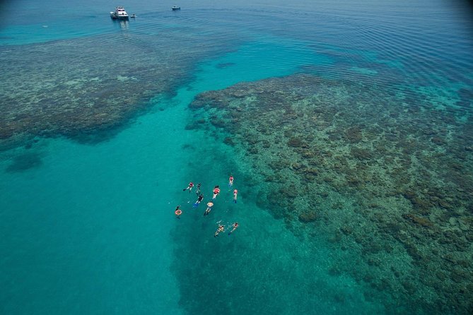 Ocean Freedom Great Barrier Reef Luxury Snorkel and Dive Cruise - Key reasons this reef cruise works in real life
