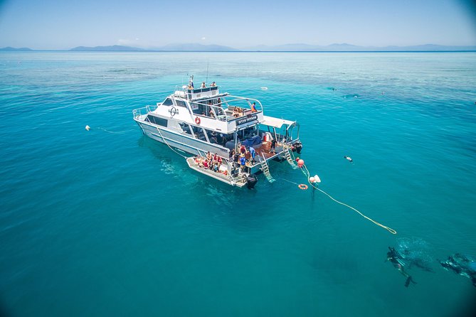 Ocean Freedom Great Barrier Reef Luxury Snorkel and Dive Cruise - Why Ocean Freedom’s Great Barrier Reef day feels worth it