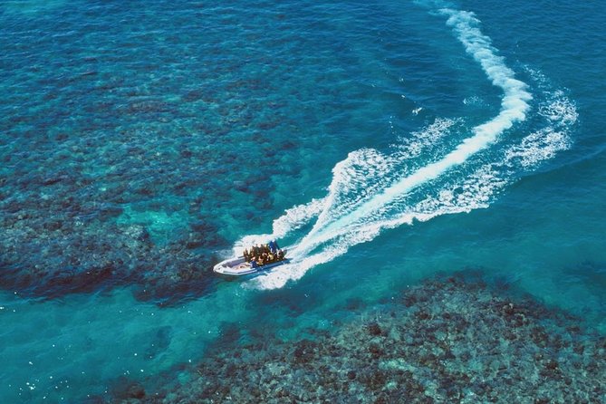 Ocean Freedom Great Barrier Reef Luxury Snorkel and Dive Cruise - Stop 2 at Upolu Cay Reef: shallow coral garden time