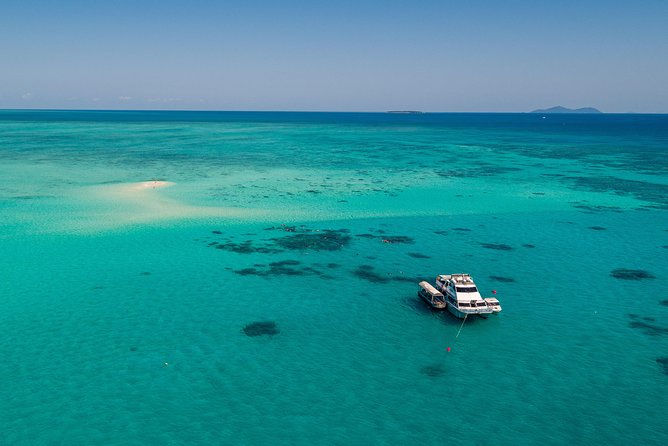 Ocean Freedom Great Barrier Reef Luxury Snorkel and Dive Cruise - How the glass-bottom boat makes the reef easier to understand