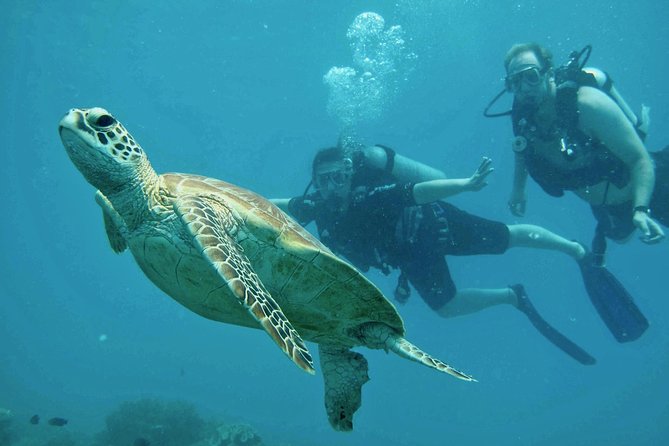 Ocean Freedom Great Barrier Reef Luxury Snorkel and Dive Cruise - Snorkeling guidance and safety: the part you’ll feel, not just read