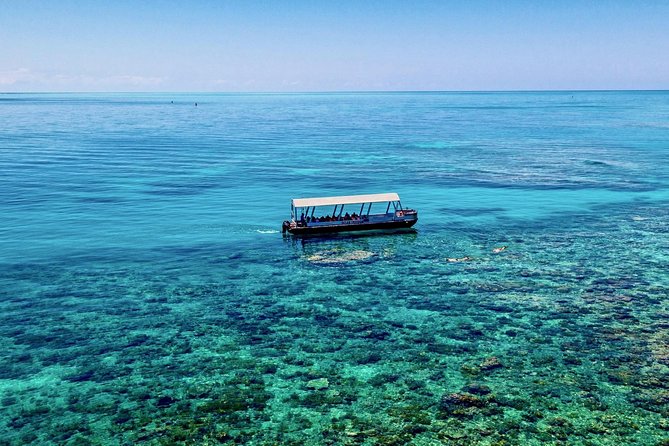 Ocean Freedom Great Barrier Reef Luxury Snorkel and Dive Cruise - Optional scuba: what’s included and what’s not