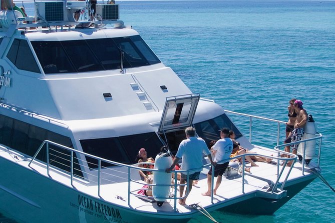 Ocean Freedom Great Barrier Reef Luxury Snorkel and Dive Cruise - The food and onboard comfort that actually affect your reef time
