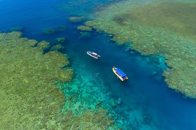Ocean Rafting: Whitehaven Beach, Snorkelling & Hill Inlet Lookout - Snorkelling at inner fringing reefs (and learning how to do it well)