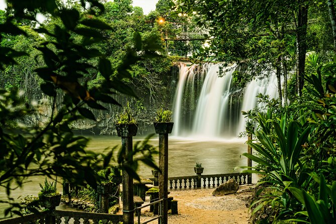 Paronella Park Admission Ticket - Dream Continues by day: the story behind the tunnels and waterfalls