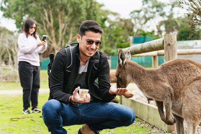 Penguin Parade, & Wildlife Encounters Eco Tour from Melbourne - The Nobbies, Seal Rocks, and Cape Woolamai: dramatic coastline breaks between animal stops