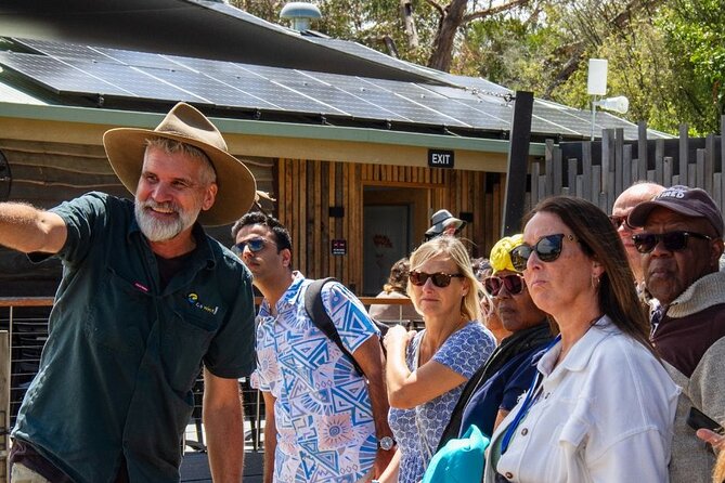 Penguin Parade, & Wildlife Encounters Eco Tour from Melbourne - Pacing and timing: how to make the most of a 12-hour wildlife day