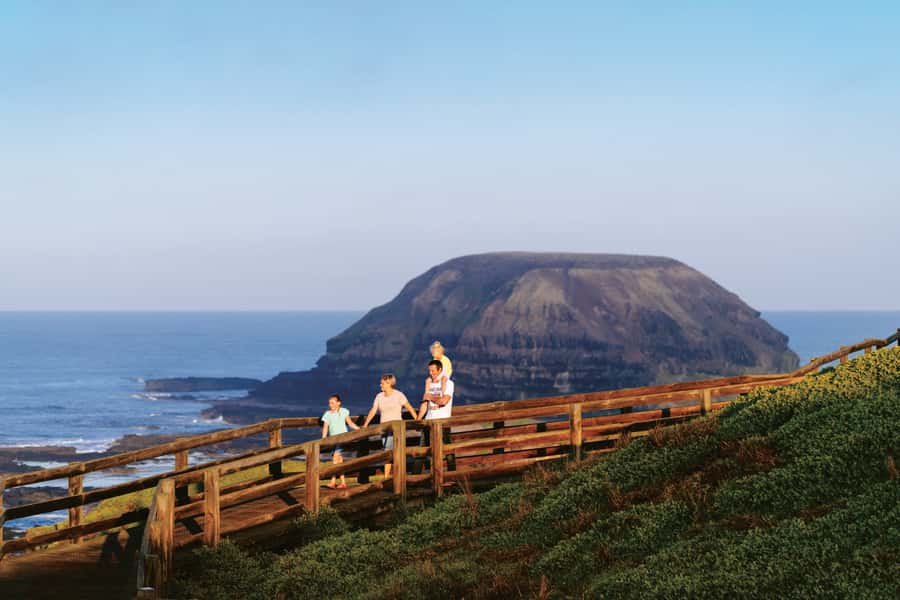 Phillip Island: Penguins and Wildlife Full-Day Tour - Melbourne to Phillip Island: the ride that shapes the whole day