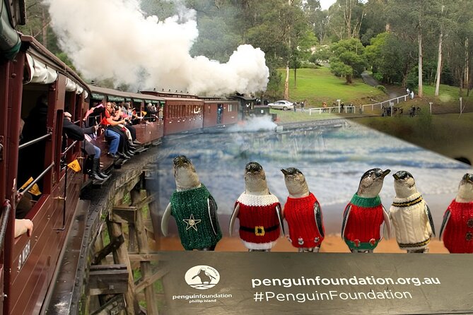 Phillip Island Penguins & Wildlife Day Tour from Melbourne - Nobbies Boardwalk: Where You Spot Seals and Read the Coast