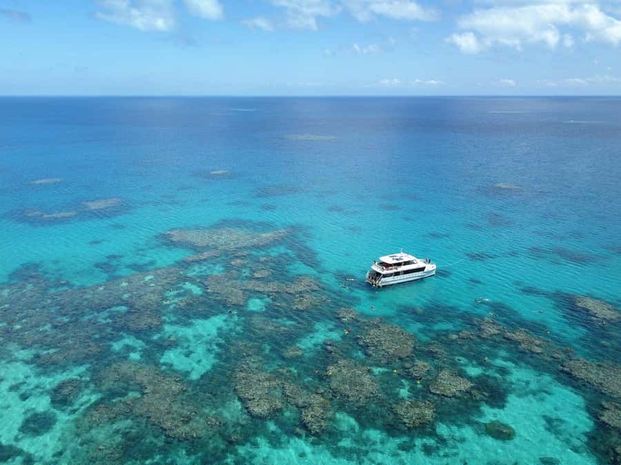 Port Douglas: Outer Great Barrier Reef Snorkeling Cruise - Key highlights worth knowing