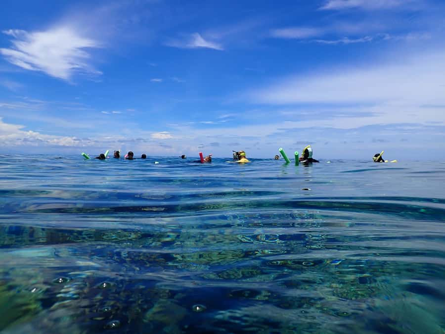 Port Douglas: Outer Great Barrier Reef Snorkeling Cruise - Practical Tips: What to Bring and How to Make Your Snorkeling Go Smoothly