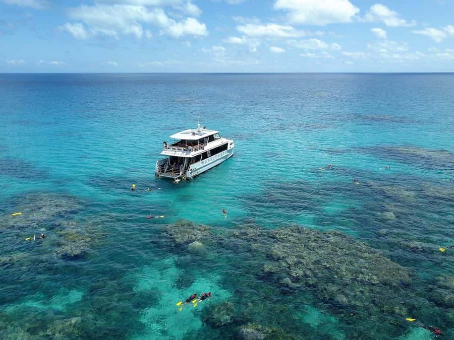 Port Douglas: Outer Great Barrier Reef Snorkeling Cruise - Your First Snorkel: Safety Brief, Then Crew Support in the Water