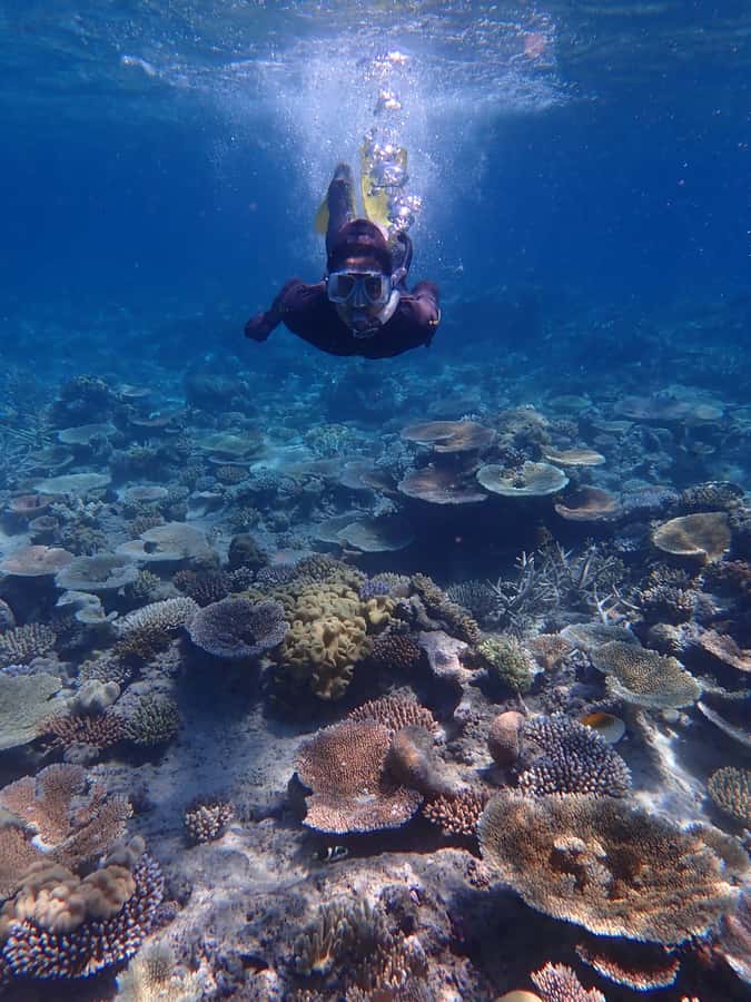 Port Douglas: Outer Great Barrier Reef Snorkeling Cruise - Who This Tour Is Best For (and Who Should Skip It)