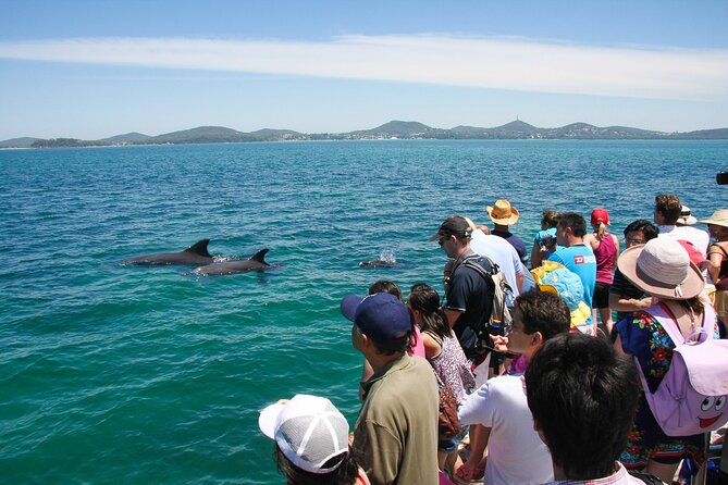 Port Stephens: Dolphin Discovery Cruise - Practical Tips for a Smooth Day on Port Stephens Water