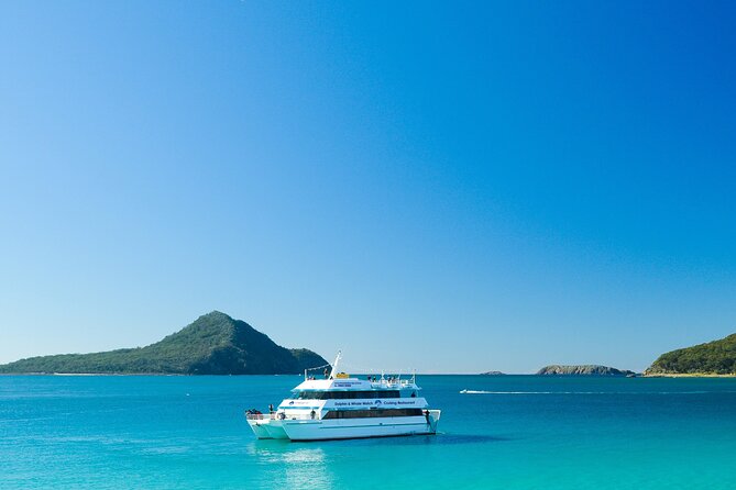 Port Stephens: Dolphin Discovery Cruise - Getting to the Boat at d’Albora Marina (and Finding Your Best Spot)