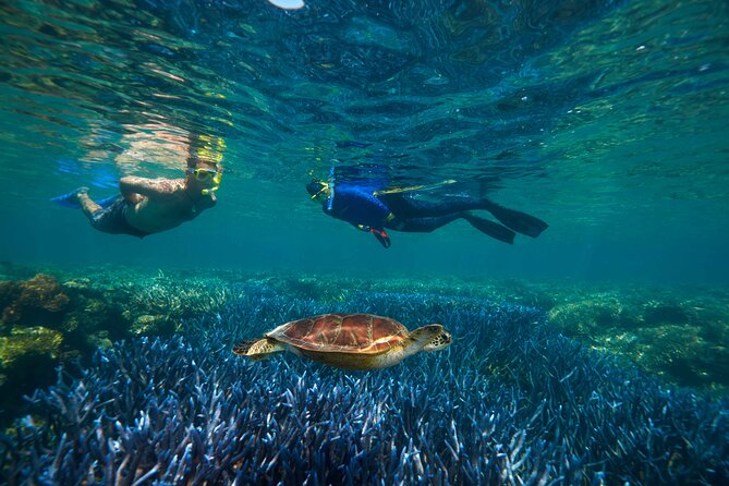 Quicksilver Great Barrier Reef Snorkel Cruise from Port Douglas - The high-speed catamaran ride to the outer reef