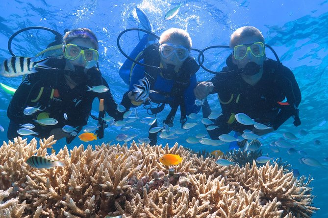 Quicksilver Great Barrier Reef Snorkel Cruise from Port Douglas - Optional add-ons that change the whole character of the day