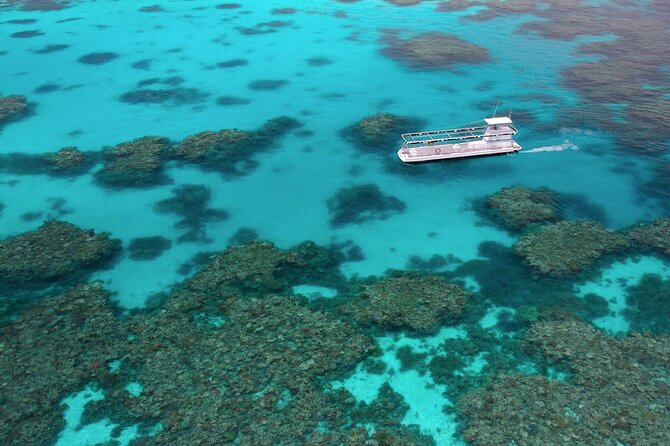 Quicksilver Great Barrier Reef Snorkel Cruise from Port Douglas - Safety, staff attention, and how the day stays friendly