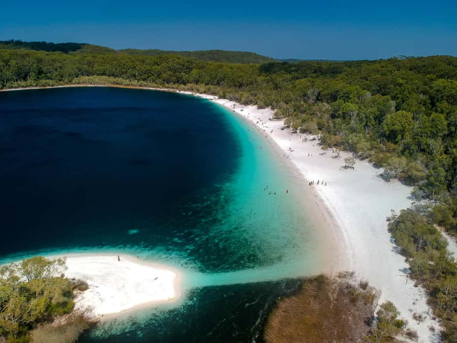 Rainbow Beach: 3-Day K'gari (Fraser Island) 4WD Adventure - Lake Wabby: the last swim with dunes, palms, and a tropical feel