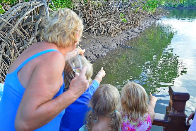 River Cruise - Cruising the calm waterway: mangroves, shipwrecks, and river wildlife