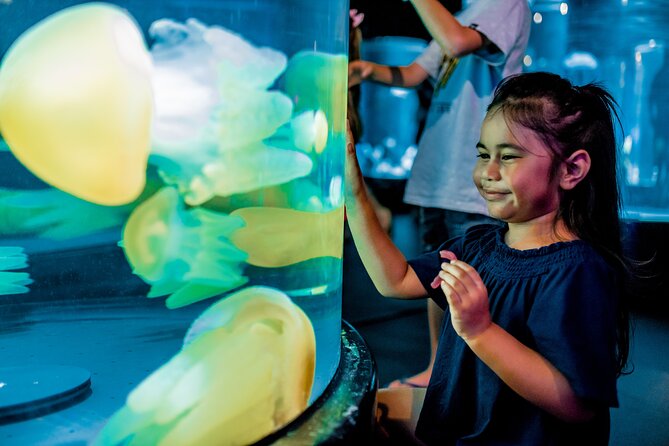 SEA LIFE Sydney Aquarium Entrance Ticket - SEA LIFE Sydney Aquarium Ticket: What You Actually Get for Your Time