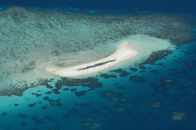 Seastar Luxury Outer Great Barrier Reef Island and Reef Tour - From Cairns to the Outer Reef: the Morning Setup on Seastar