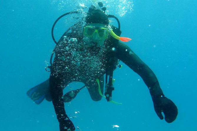 Seastar Luxury Outer Great Barrier Reef Island and Reef Tour - Price and Value: Is $190.07 a Good Deal for the Outer Reef?