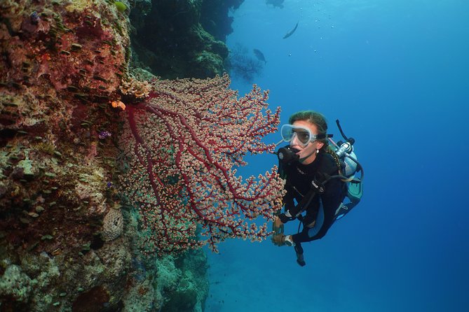 Silversonic Outer Great Barrier Reef Cruise from Port Douglas - Value Check: What You Pay for and What Can Add Up