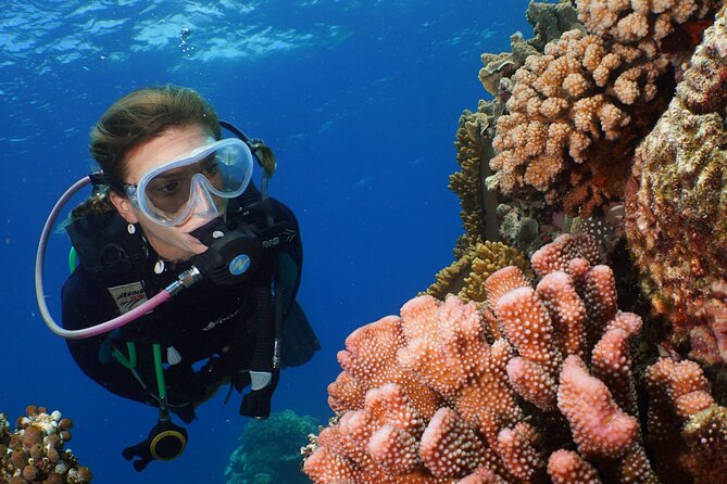 Silversonic Outer Great Barrier Reef Cruise from Port Douglas - Who Should Book This Cruise (and Who Might Want to Rethink)