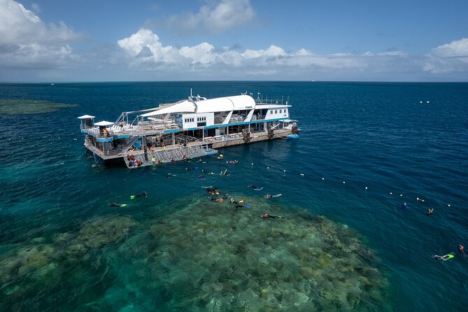 Snorkel & Dive the Reef: Sustainable, Scientific & Cultural Tour - Key things that make this reef day click
