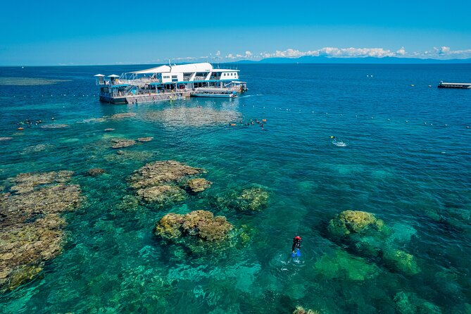 Snorkel & Dive the Reef: Sustainable, Scientific & Cultural Tour - Fast Catamaran to Reef Magic Cruises: Getting there without wasting daylight