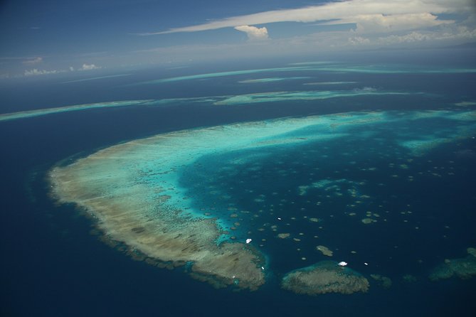 Snorkel & Dive the Reef: Sustainable, Scientific & Cultural Tour - Scuba and medical rules: fun options, but follow the paperwork