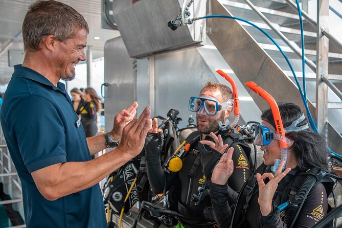Snorkel & Dive the Reef: Sustainable, Scientific & Cultural Tour - Marine biologists and cultural stories: what you learn while you play