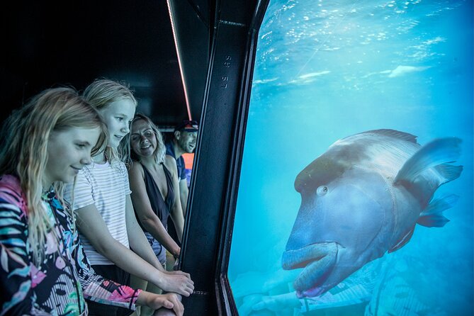 Snorkel & Dive the Reef: Sustainable, Scientific & Cultural Tour - Price and value at $232.39: what’s included versus what costs extra