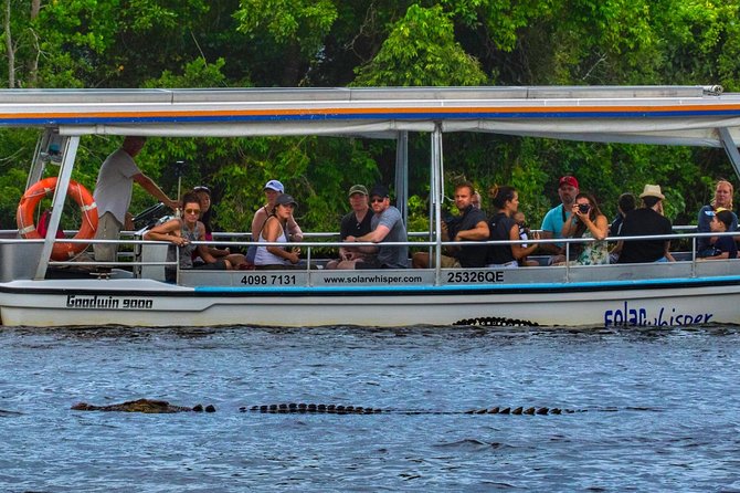 Solar Whisper Daintree River Crocodile and Wildlife Cruise - Key highlights worth knowing
