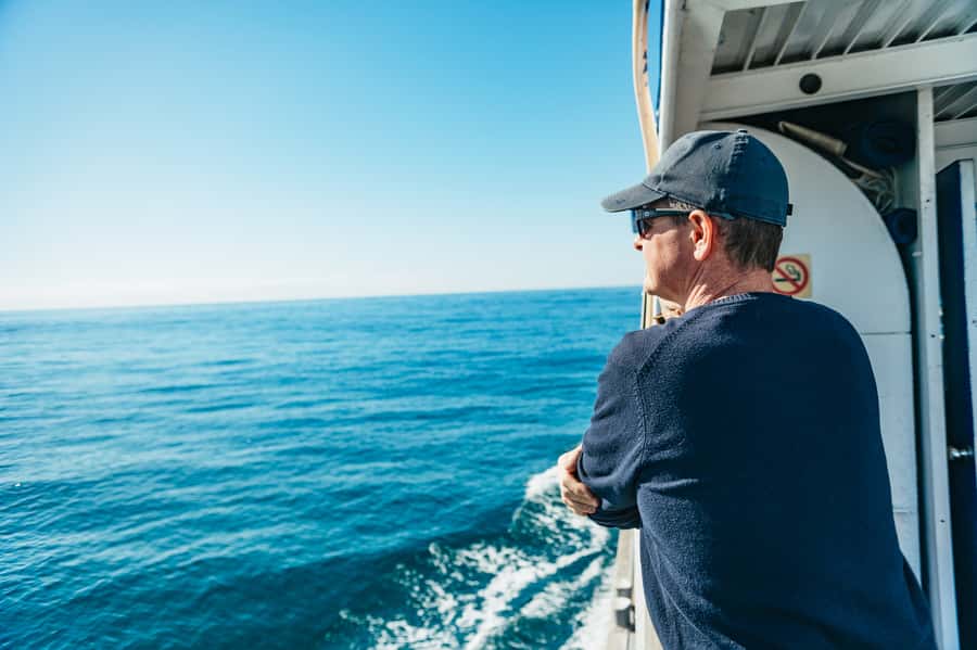 Spirit of Gold Coast 2.5-Hour Whale Watching Tour - Pre-Departure Comfort: Tea, Coffee, Biscuits Before You Go Out