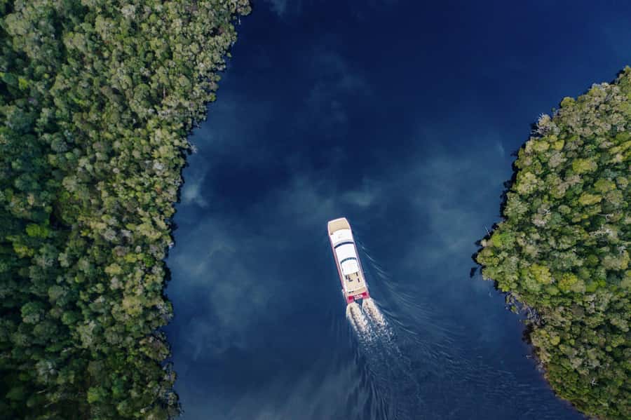 Strahan: World Heritage Cruise on Gordon River with Lunch - Key takeaways before you go