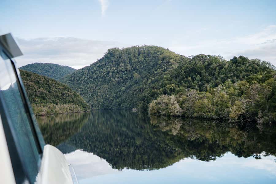 Strahan: World Heritage Cruise on Gordon River with Lunch - The Huon Pine sawmill stop: timber history, made concrete