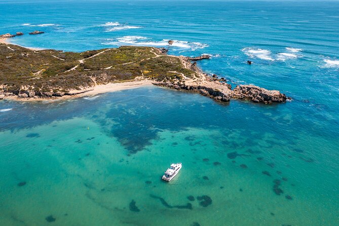 Swim with Wild Dolphins Day Tour - Boarding the custom dolphin swim vessel: the platform detail you’ll notice