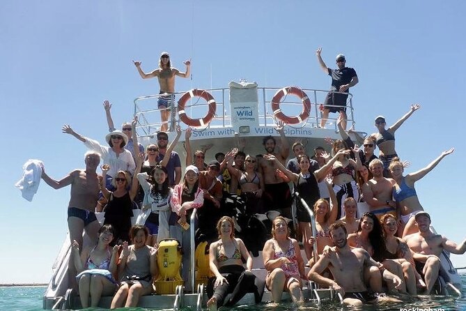 Swim with Wild Dolphins Day Tour - Getting geared up: wetsuit, mask, snorkel, and basic swimming rules
