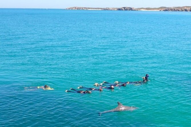 Swim with Wild Dolphins Day Tour - Lunch on the boat: good fuel, not a restaurant meal