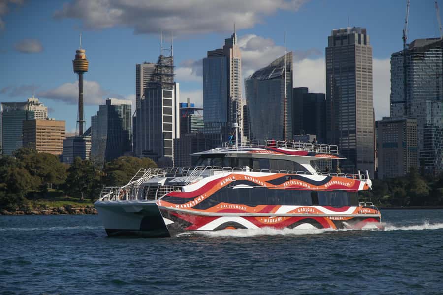 Sydney: 2-hour Express Whale Watching Cruise - What Happens During Those Whale-Spotting Hours