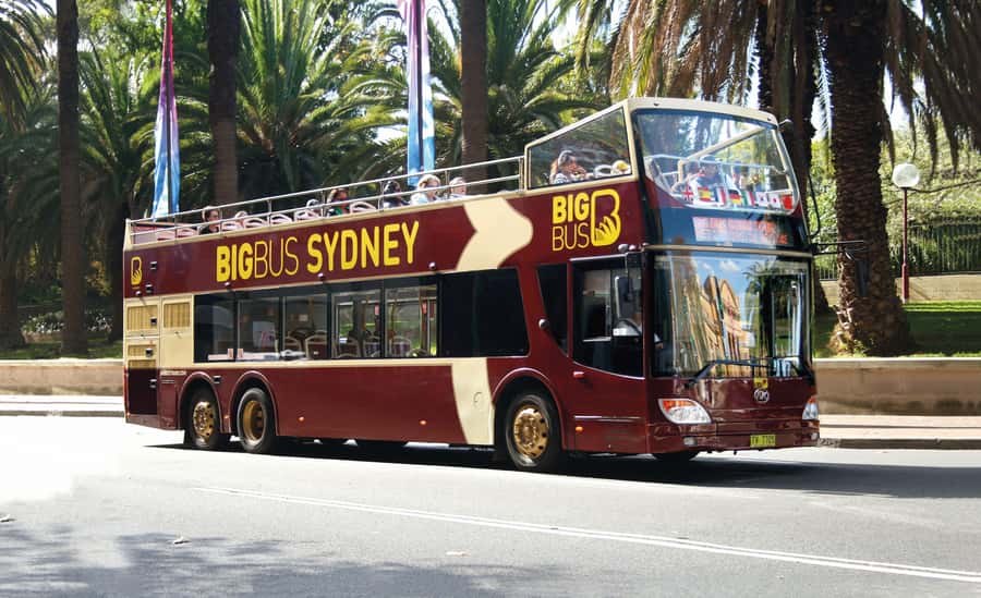 Sydney: Big Bus Hop-On Hop-Off Tour with Optional Cruise - Optional Captain Cook Harbour Explorer Cruise: Water Views That Make the City Feel Bigger