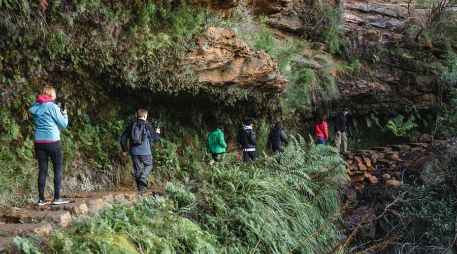 Sydney: Blue Mountains Wildlife & Bushwalk Small-Group Tour - Sydney hotel pickup at 7:00 AM: how the day starts (and why it matters)