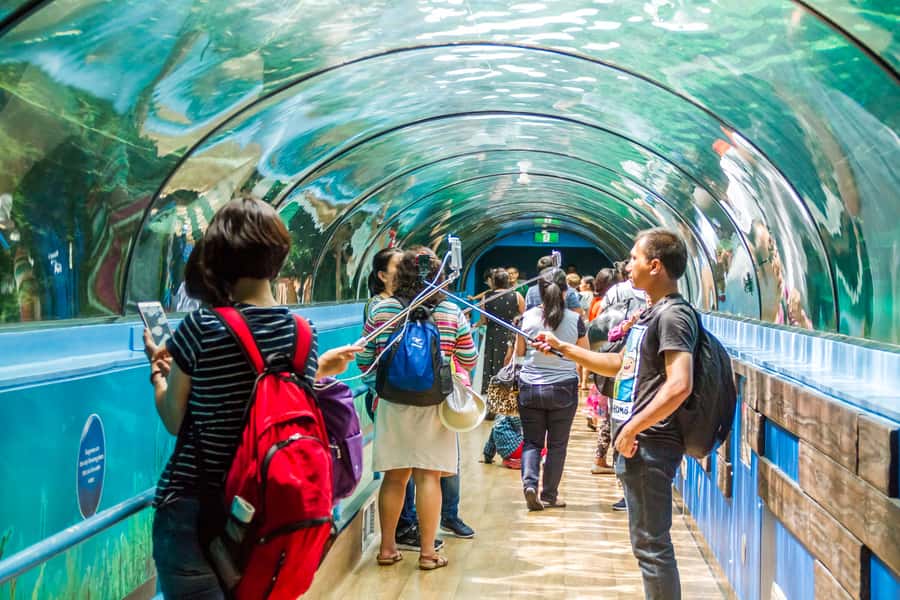 Sydney: Combo Pass for 2, 3, or 4 Top City Attractions - Price and value: when this combo usually makes sense