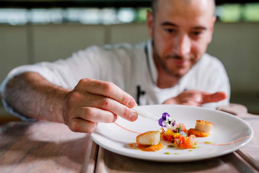 Sydney: Harbour Dinner Cruise with 3, 4 or 6-Course Menu - Should you book the Sydney Harbour dinner cruise?
