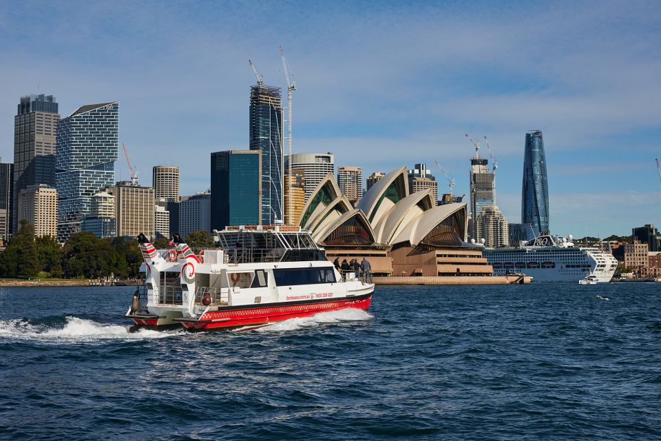 Sydney Harbour Sightseeing Cruise from Circular Quay - Clark Island and Shark Island: nature and shoreline variety in one pass