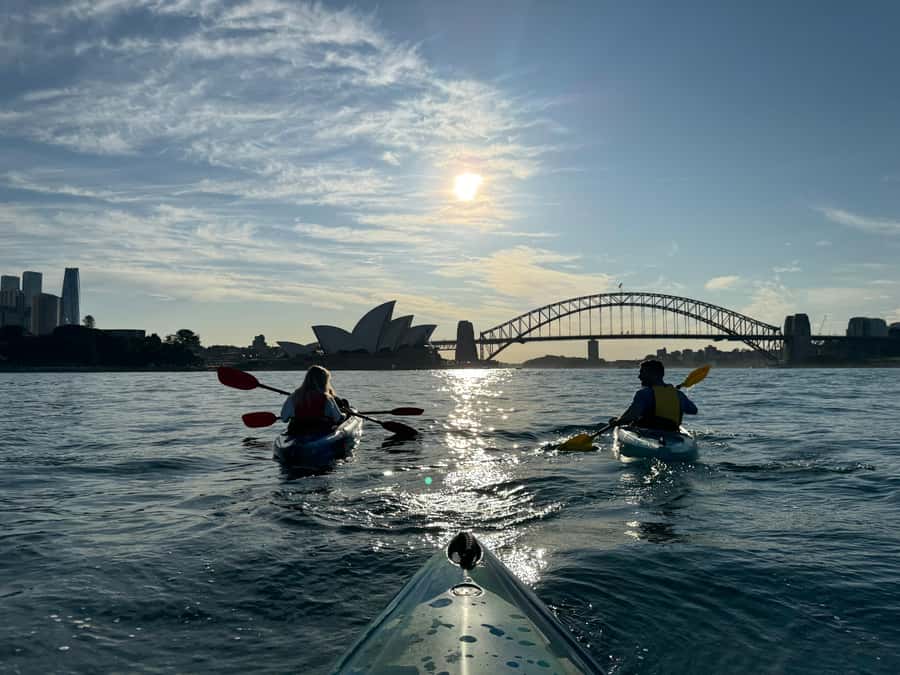 Sydney: Harbour Sunrise Kayak Tour - Price and value: what $119 gets you (and why it adds up)