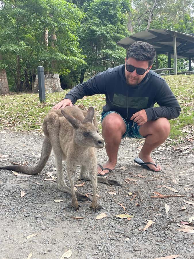 Sydney: Jervis Bay Day Trip with Dolphins, Roos & Beach Time - Hyams Beach and the White Sands Trail: walking the Guinness whitest sand