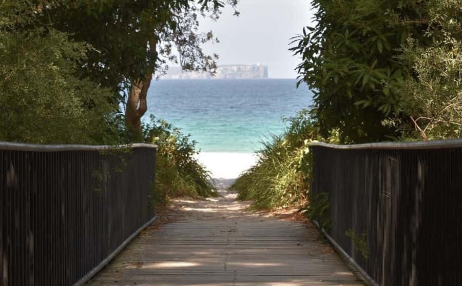Sydney: Jervis Bay Day Trip with Dolphins, Roos & Beach Time - Group size, bilingual guiding, and why it shows up in the details